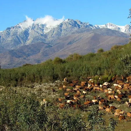 El Encuentro Villanueva De La Vera